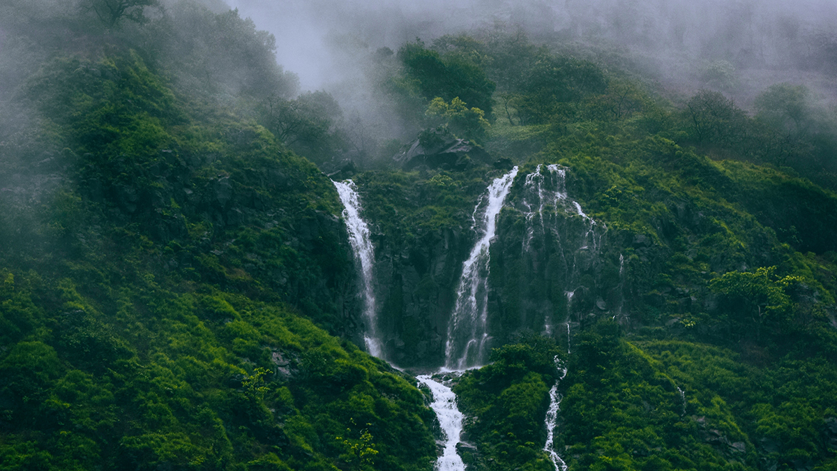 Tamhini Ghat: A scenic marvel in the western ghats of maharashtra