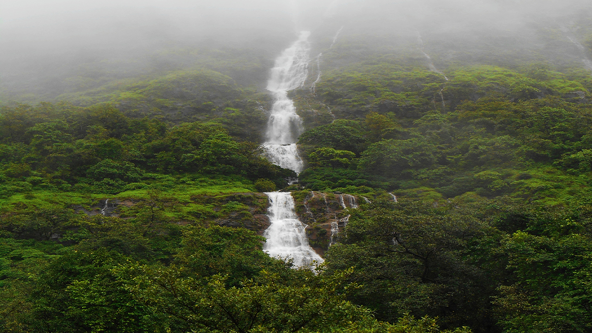 Explore the charms of vikramgad - nature, culture, and adventures