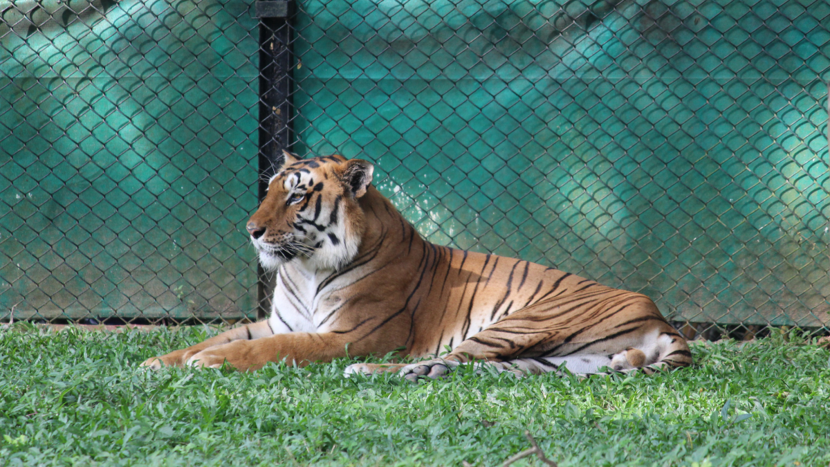 Explore Rani Baug Zoo Mumbai- entry ticket price and timings  